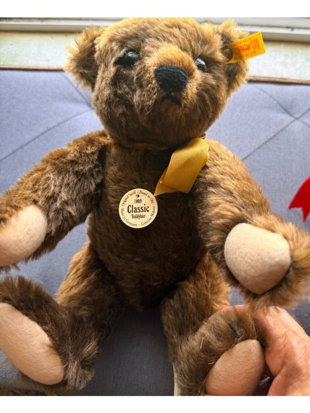 Steiff Chocolate Brown Original Teddy Bear, #1901, Makes Noise when Tilted w/Tag